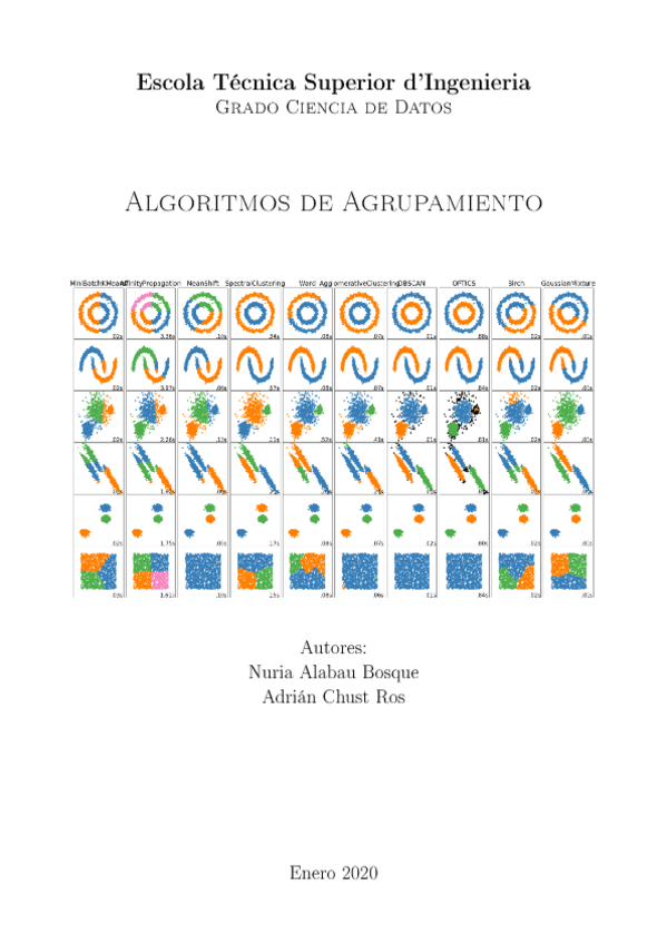 Miniatura del documento ResumenAgrupamienton.pdf