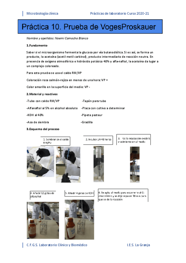 Miniatura del documento PRAC-10.pdf