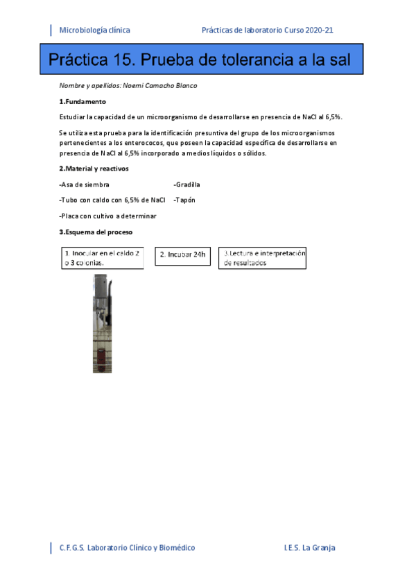 Miniatura del documento PRAC-15.pdf