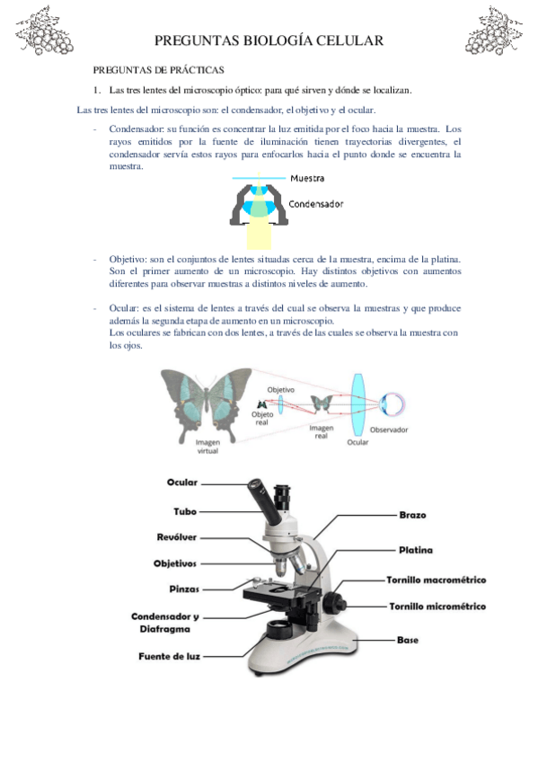 Miniatura del documento examen-biologia-celular-resuelto.pdf