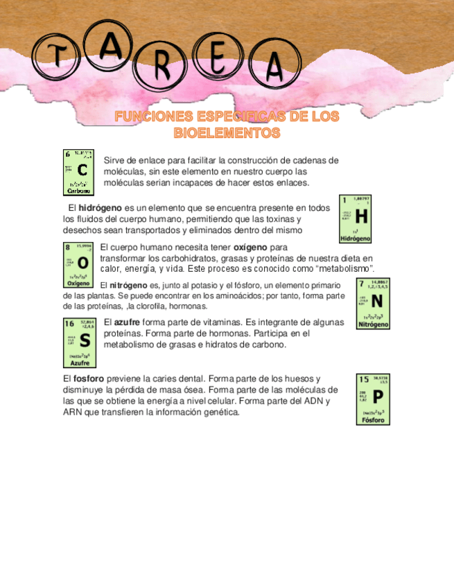 Miniatura del documento FUNCIONES-ESPECIFICAS-DE-LOS-BIOELEMENTOS.pdf