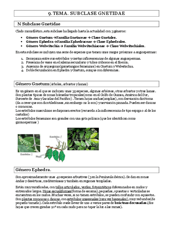 Miniatura del documento TEMA-9.pdf