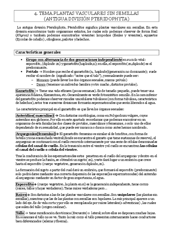 Miniatura del documento Tema-4.pdf