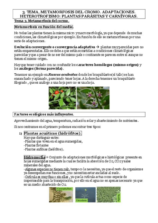Miniatura del documento Tema-3.pdf