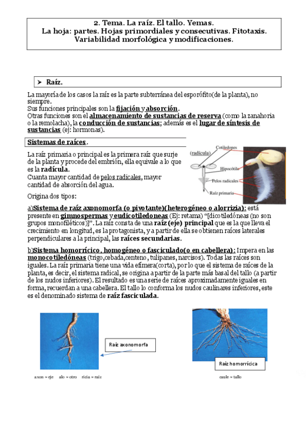 Miniatura del documento TEMA-2.pdf