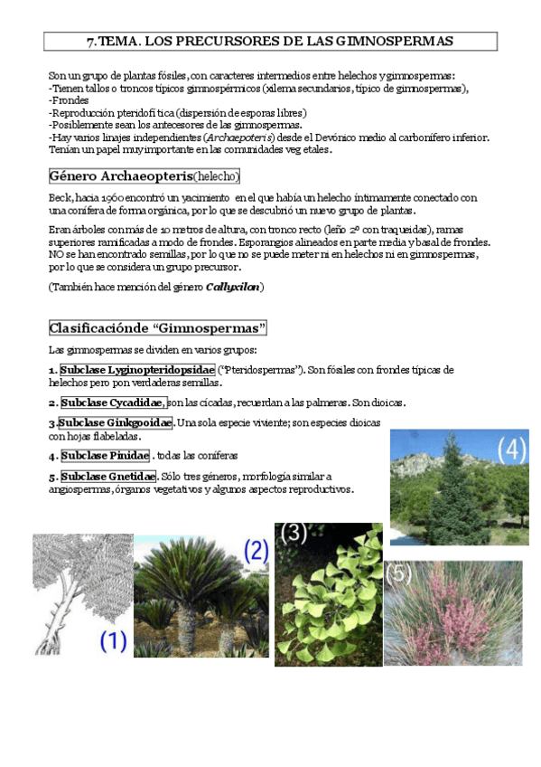 Miniatura del documento TEMA-7-1.pdf