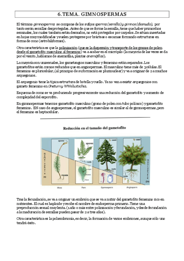 Miniatura del documento TEMA-6-1.pdf