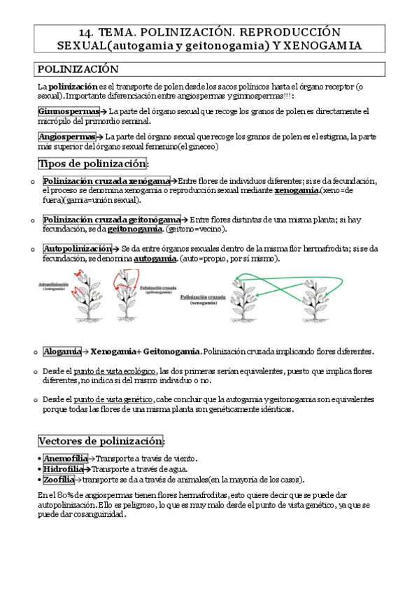 Miniatura del documento TEMA-14.pdf