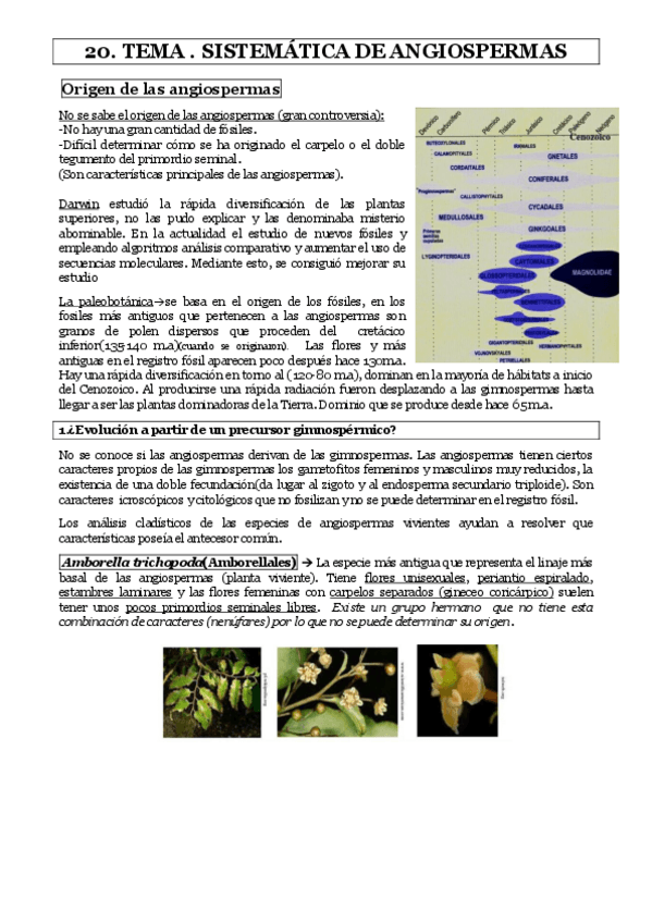 Miniatura del documento TEMA-20.pdf