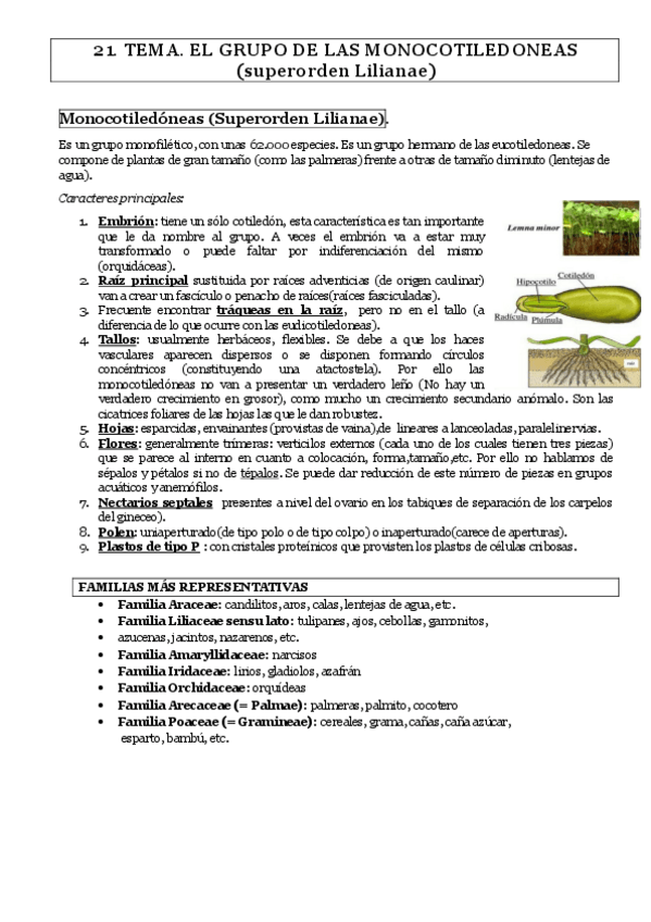 Miniatura del documento TEMA-21-1.pdf