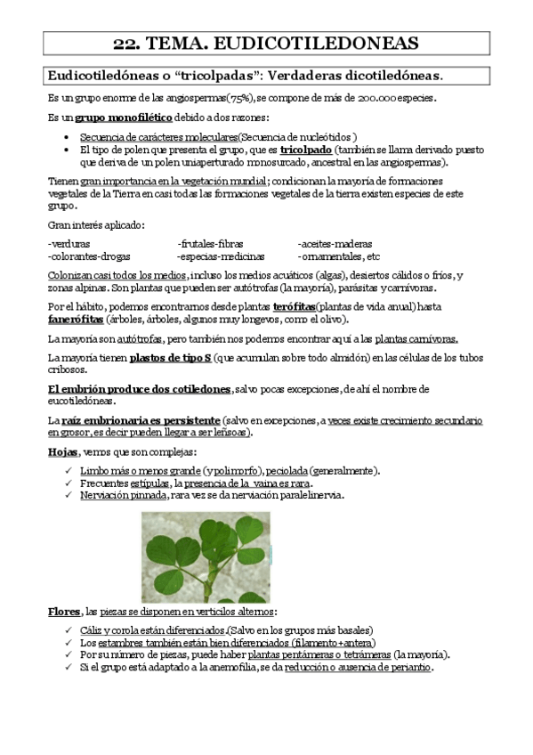 Miniatura del documento TEMA-22.pdf