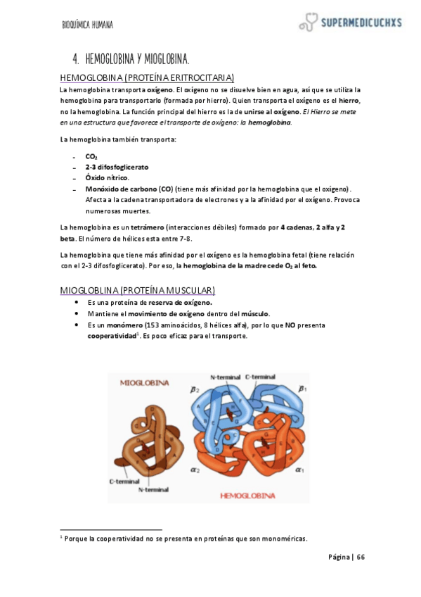 Miniatura del documento 3-PARTE-2-PAPEL-BIOQUIMICO-DE-LA-SANGRE-EN-EL-ORGANISMO.pdf