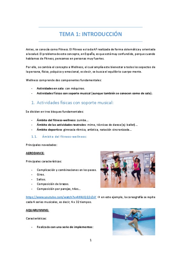 Miniatura del documento TEMA-1-INTRODUCCION.pdf