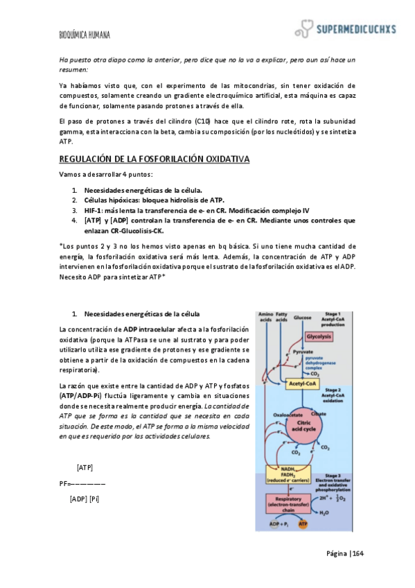 Miniatura del documento 5-PARTE-2.pdf