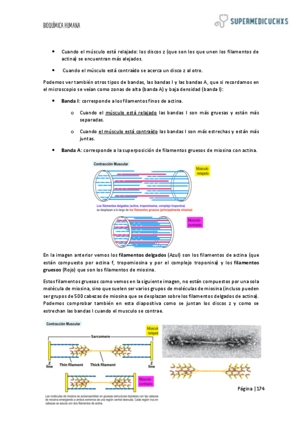 Miniatura del documento 5-PARTE-3.pdf