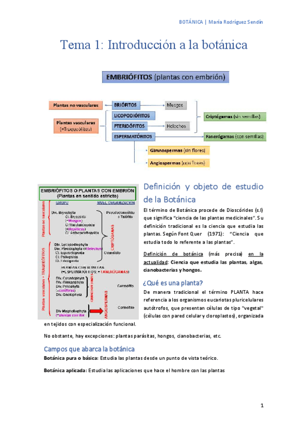Miniatura del documento Tema-1-Introduccion-a-la-botanica.pdf