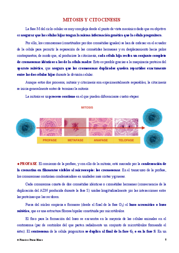 Miniatura del documento Mitosis-y-meiosis.pdf