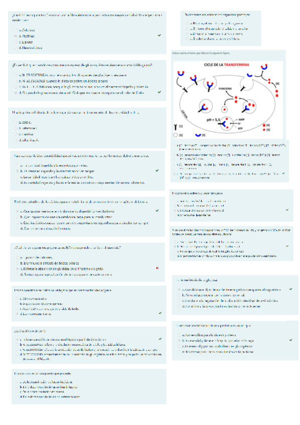 Miniatura del documento preguntas-examen-final-2021.pdf