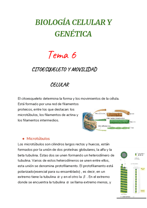 Miniatura del documento TEMA-6.pdf