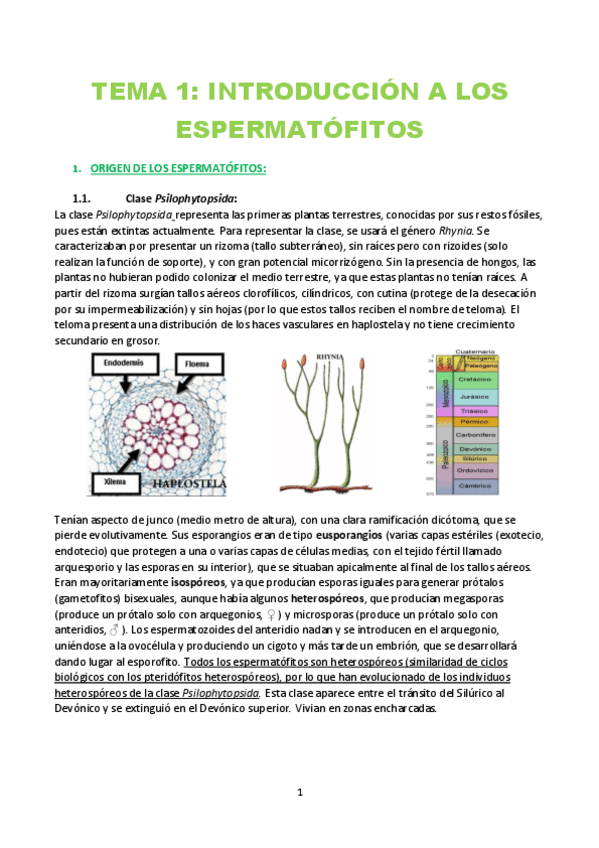 Miniatura del documento TEMARIO-COMPLETO.pdf