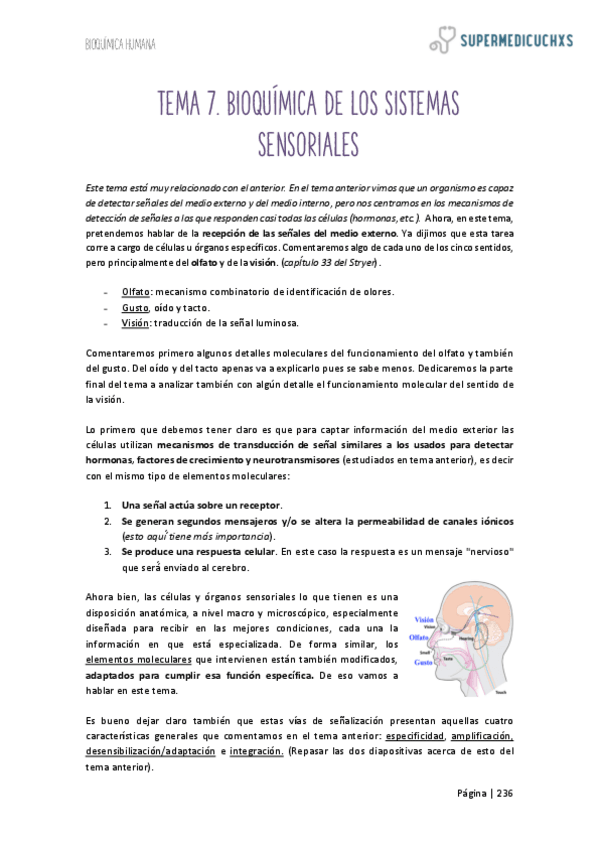 Miniatura del documento 7.pdf