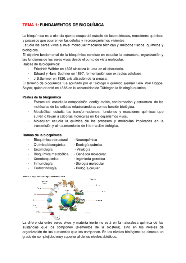 Miniatura del documento tema-1-bioquimica-resumen.docx