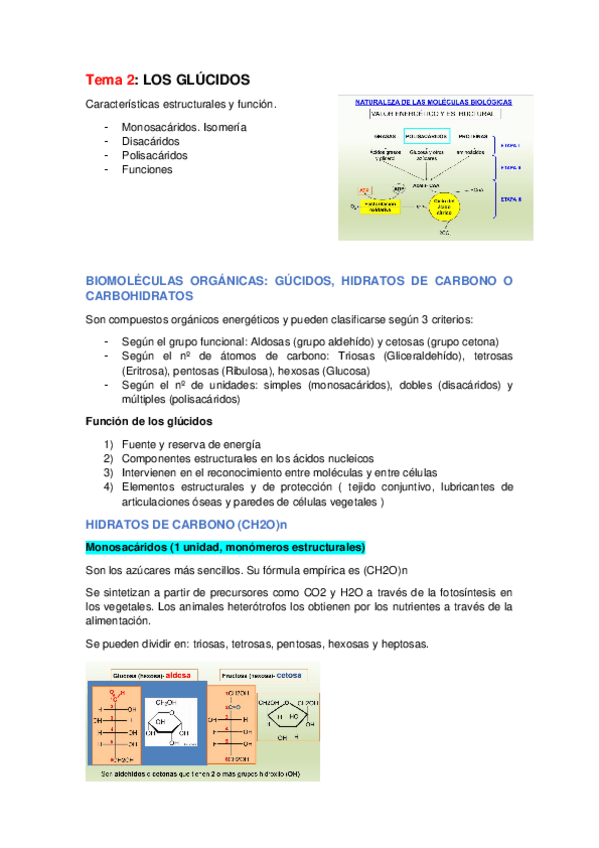 Miniatura del documento Tema-2-bio-resumen.docx