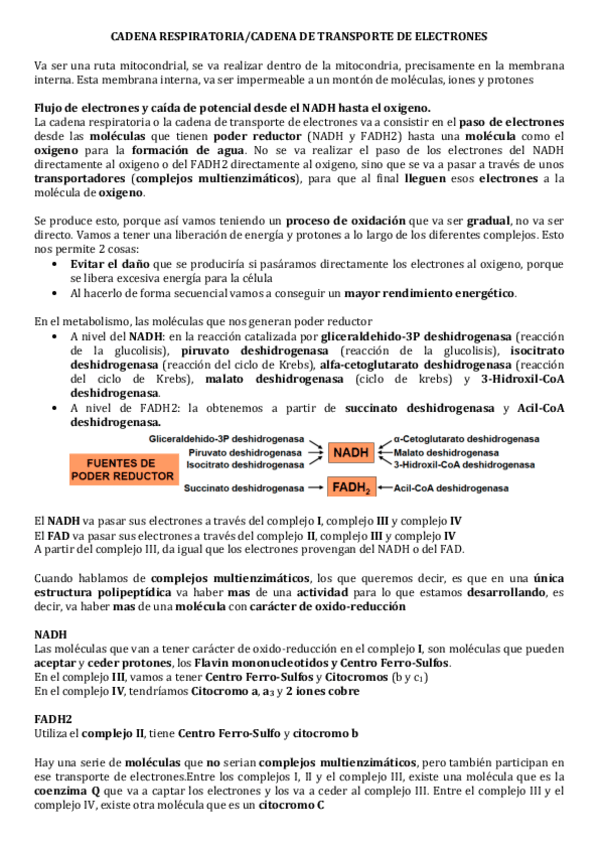 Miniatura del documento Cadena-respiratoria.pdf