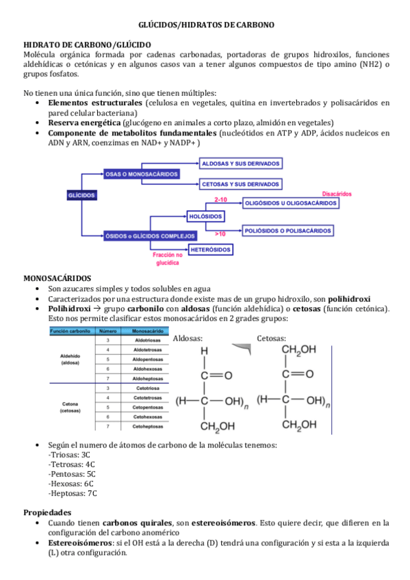 Miniatura del documento hidratos-de-carbono-glucidos.pdf