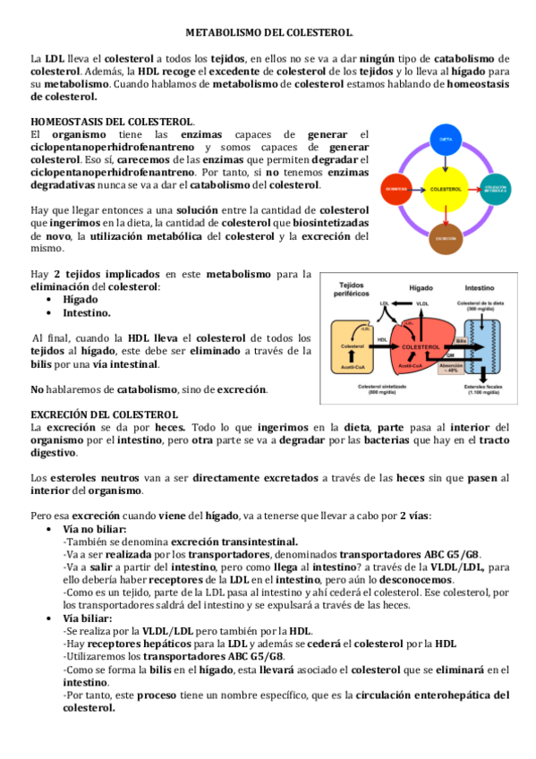 Miniatura del documento METABOLISMO-DEL-COLESTEROL.pdf
