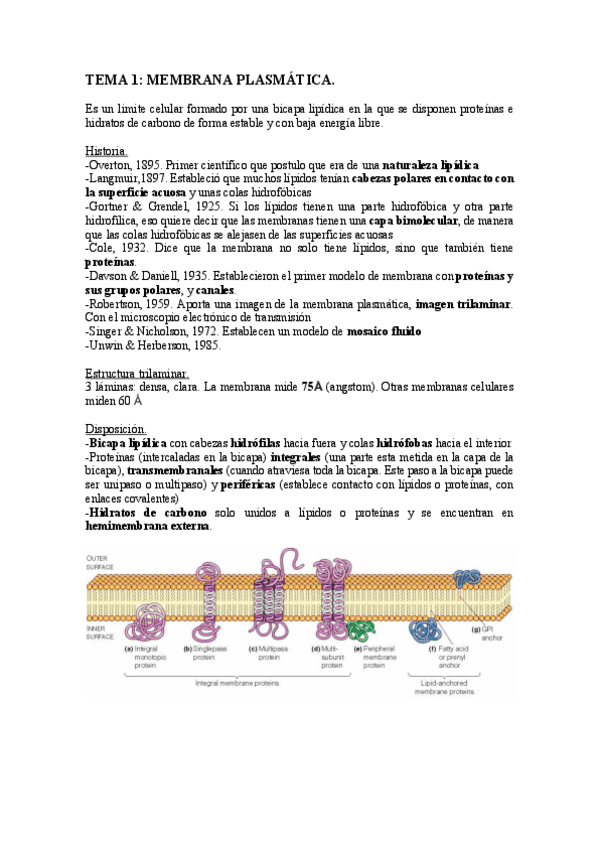 Miniatura del documento MEMBRANA-PLASMATICA.pdf