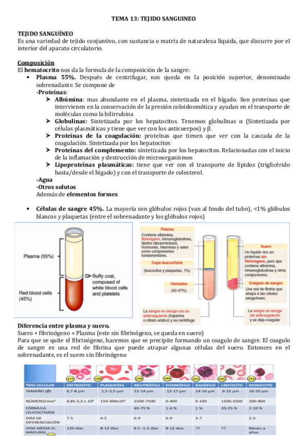 Miniatura del documento TEJIDO-SANGUINEO-.pdf