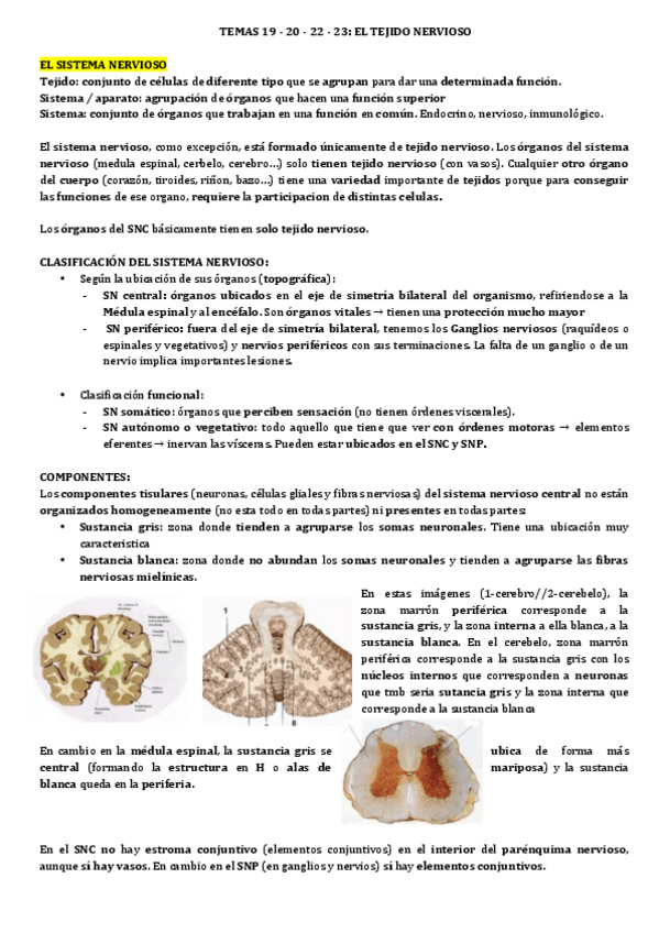 Miniatura del documento TEJIDO-NERVIOSO.pdf