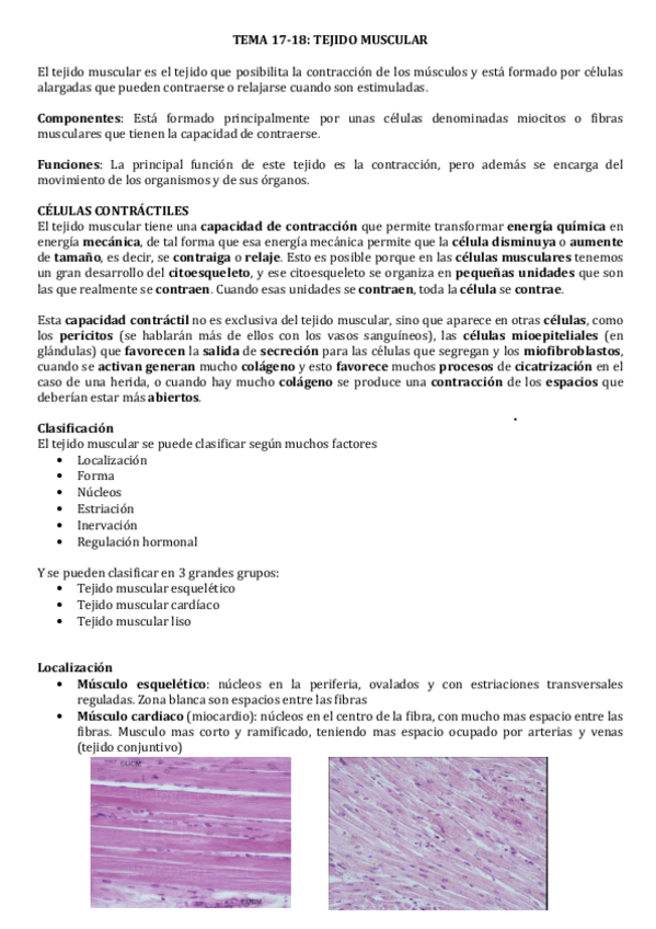 Miniatura del documento TEJIDO-MUSCULAR.pdf