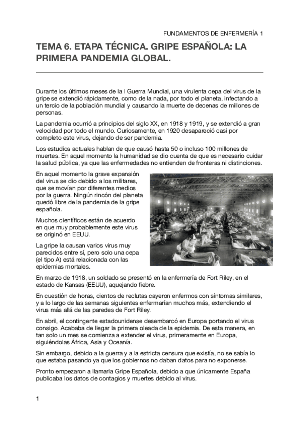 Miniatura del documento Tema 6. Gripe española 