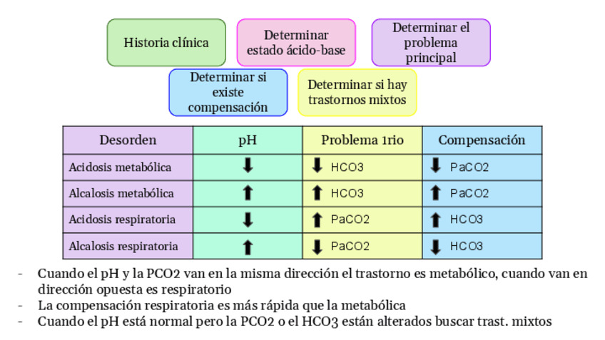 Miniatura del documento GASES-ARTERIALES.pdf