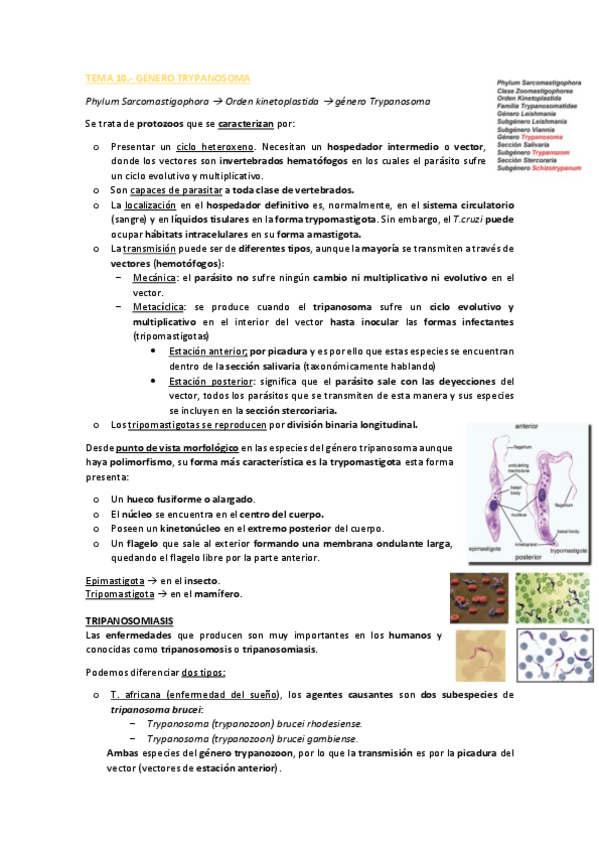 Miniatura del documento TEMA-10-PARASITOLOGIA-PDF.pdf