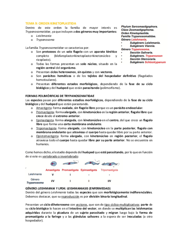 Miniatura del documento TEMA-9-para-Autoguardado.pdf