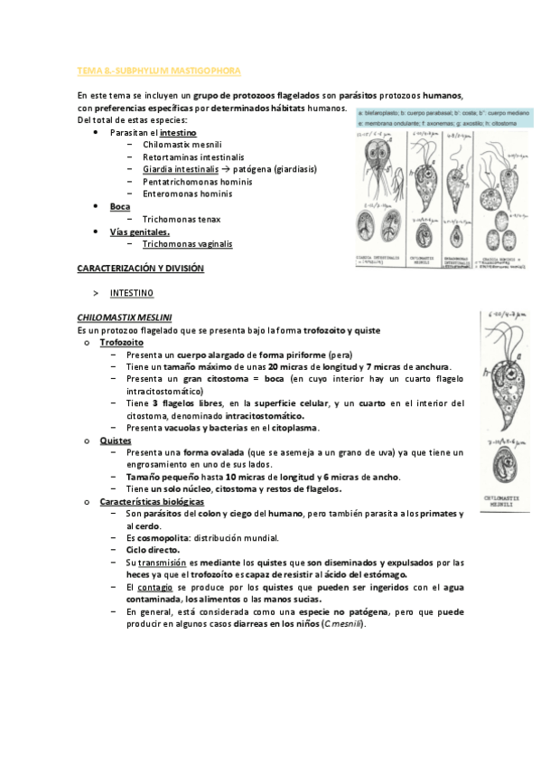 Miniatura del documento TEMA-8-PARASITOLOGIA-PDF.pdf