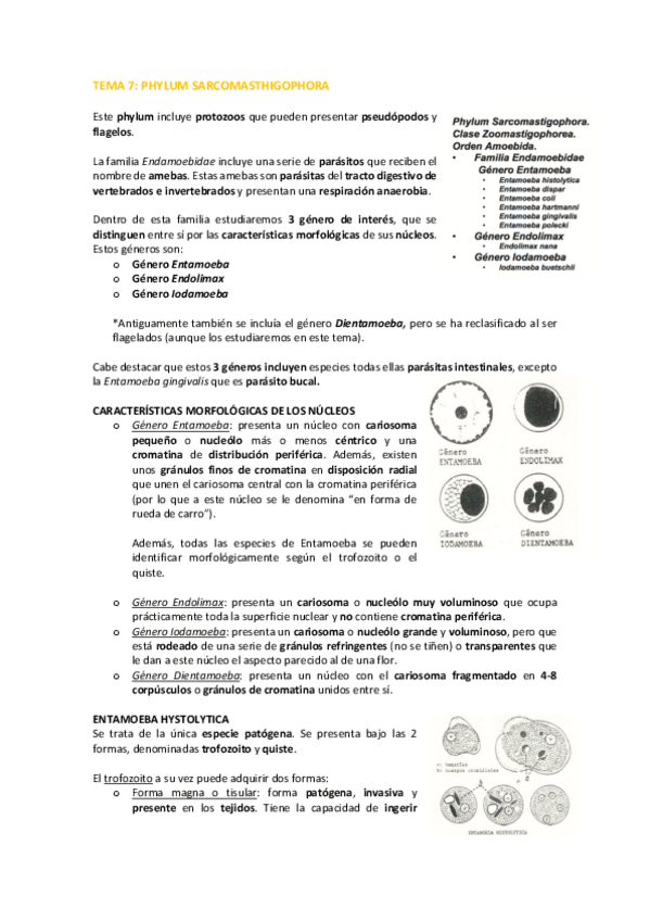 Miniatura del documento TEMA-7-Autoguardado-PARASITOLOGIA-BIEN.pdf