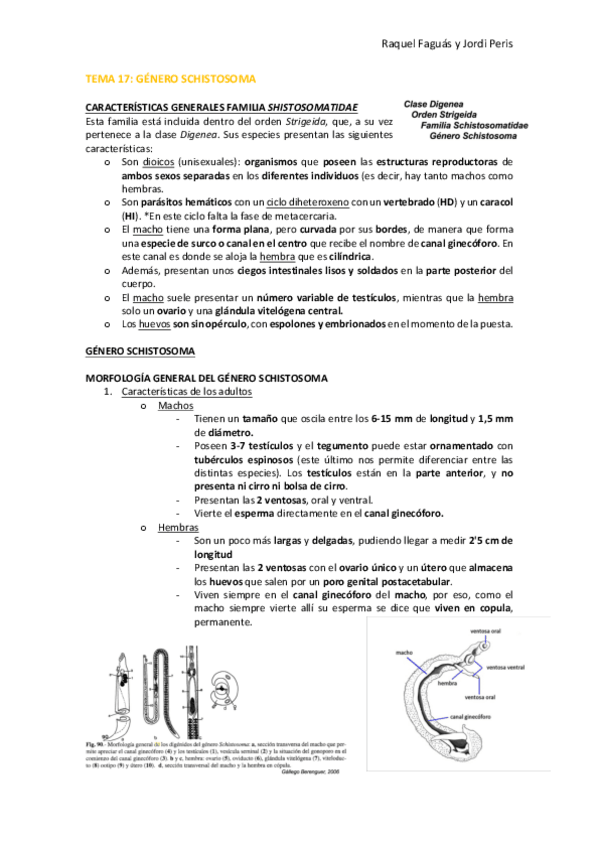 Miniatura del documento TEMA-17.pdf
