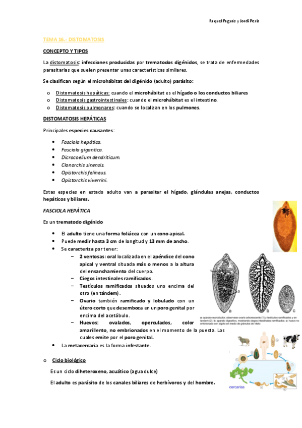 Miniatura del documento TEMA-16-PARASITOLOGIA-PDF.pdf