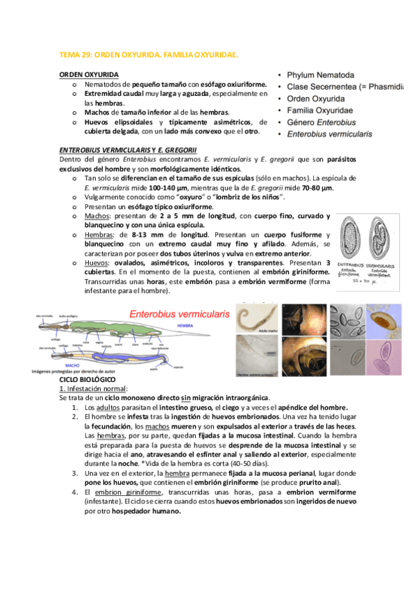 Miniatura del documento TEMA-29.pdf