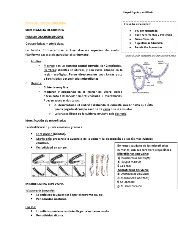 Miniatura del documento TEMA-30-PARASITOLOGIA-PDF.pdf