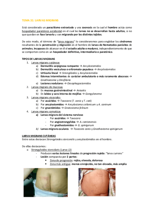 Miniatura del documento TEMA-31.pdf