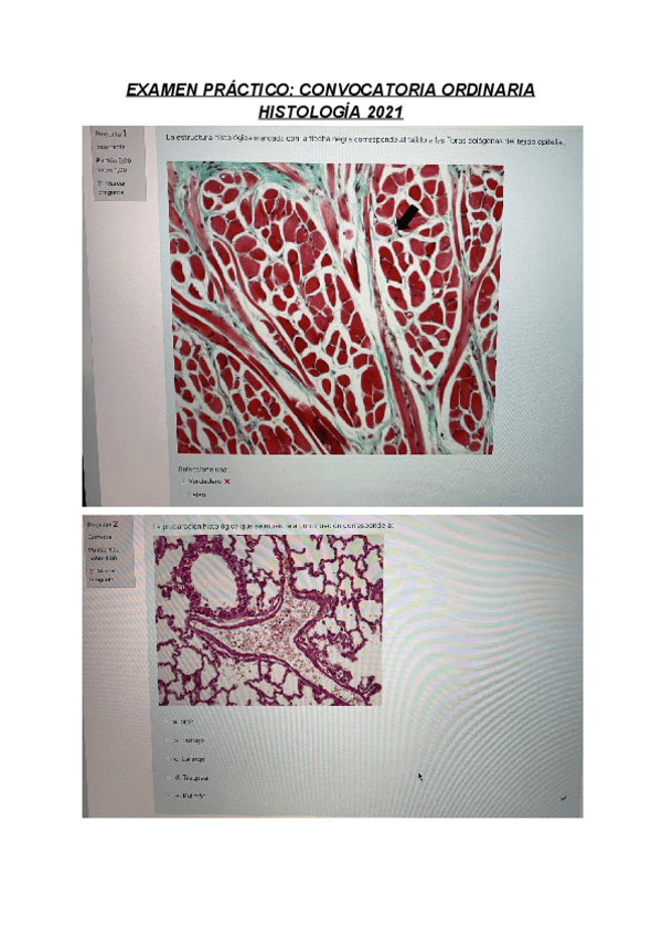 Miniatura del documento Examen-Practica-histologia-.pdf
