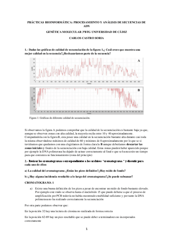 Miniatura del documento MEMORIA-BIOINFROMATICA.pdf