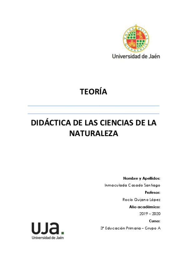 Miniatura del documento TEORIA.pdf