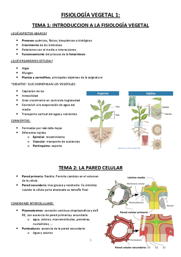 Miniatura del documento Fisio-Vegetal-full.pdf