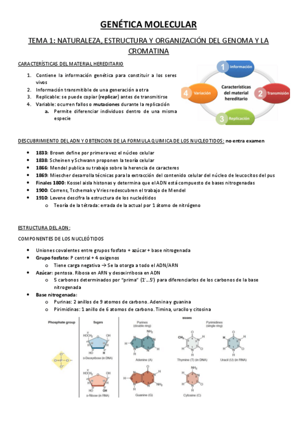 Miniatura del documento Genetica--Problemas.pdf